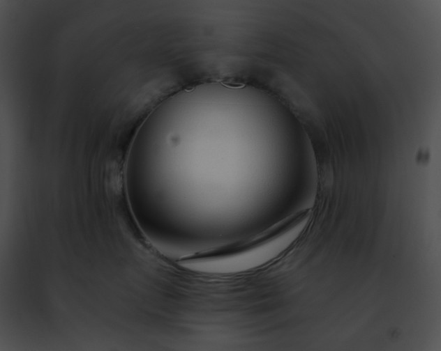 X0000091470719200708301853