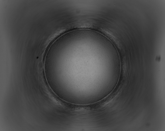 X0000091470721200708301852