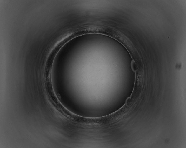 X0000091470722200708301852