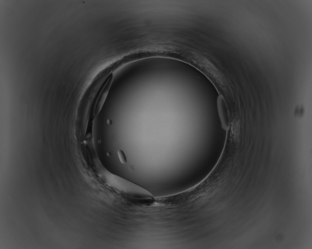 X0000091470724200708301852