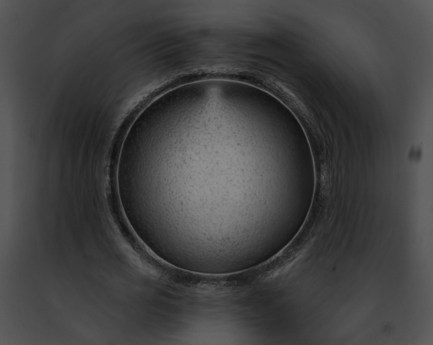 X0000091470725200708301852