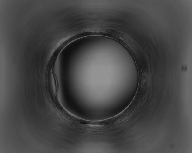 X0000091470727200708301852