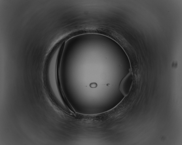 X0000091470728200708301852