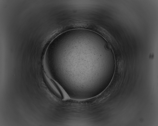 X0000091470729200708301852