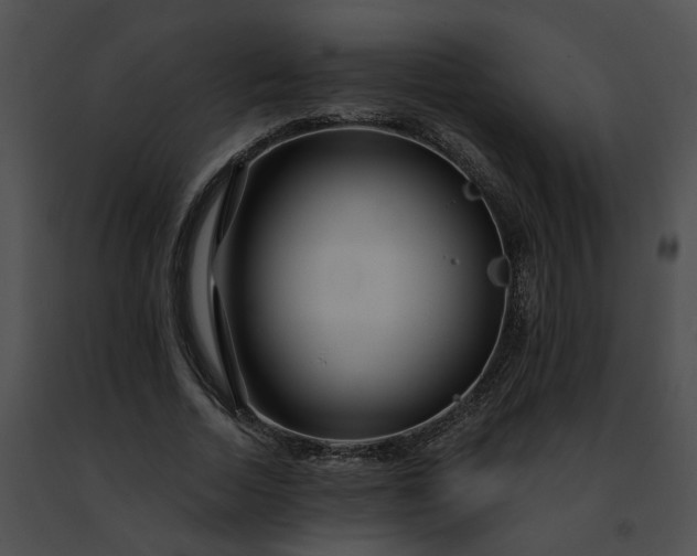 X0000091470730200708301852