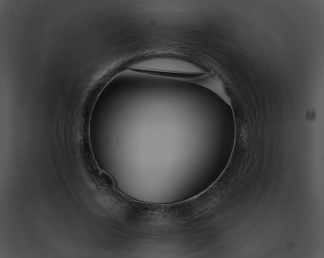 X0000091470732200708301852