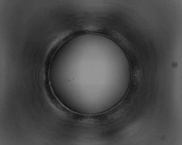 X0000091470734200708301852