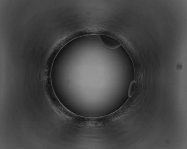 X0000091470736200708301852