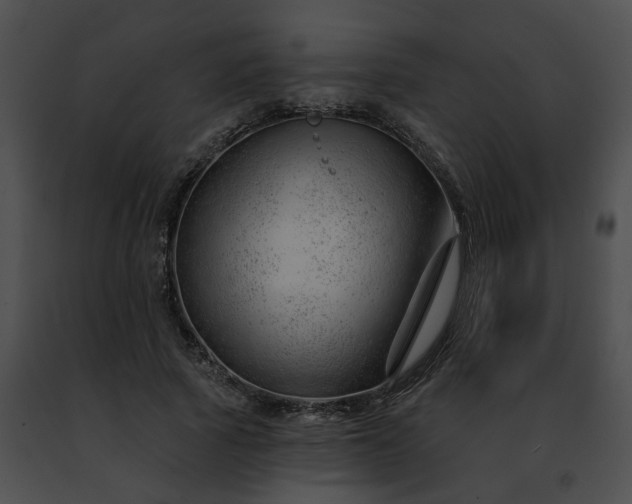 X0000091470737200708301852