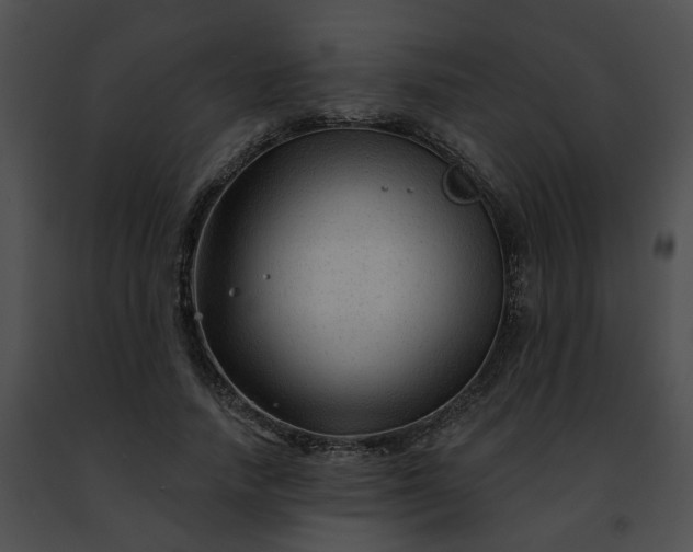 X0000091470738200708301853