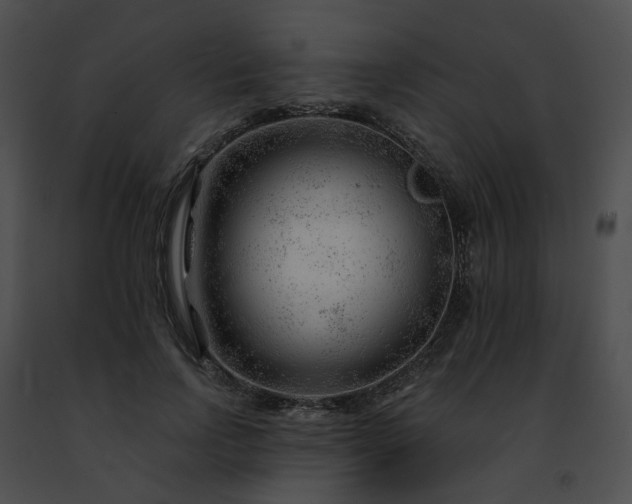 X0000091470742200708301853