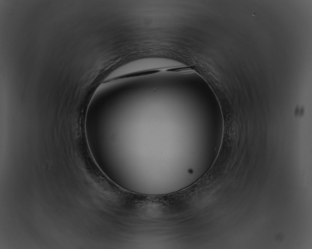 X0000091470743200708301853