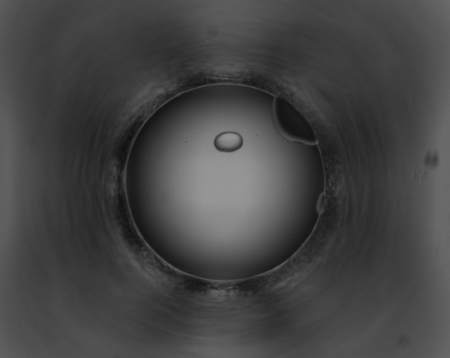 X0000091470744200708301853