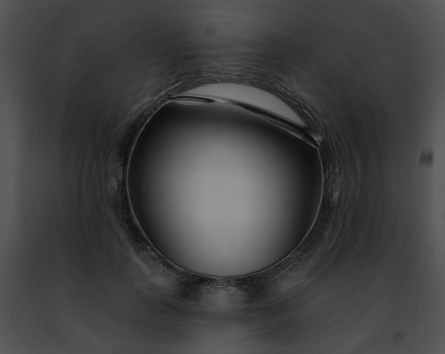 X0000091470747200708301853