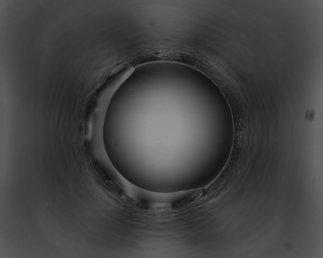 X0000091470748200708301853