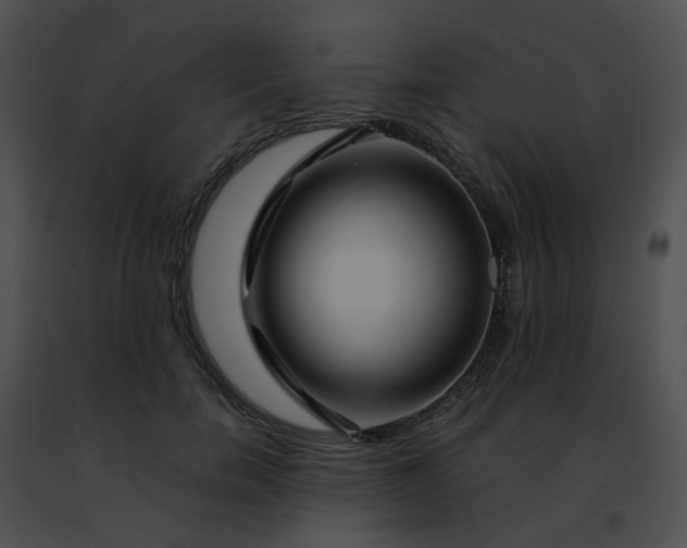 X0000091470750200708301853