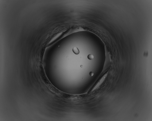 X0000091470752200708301853