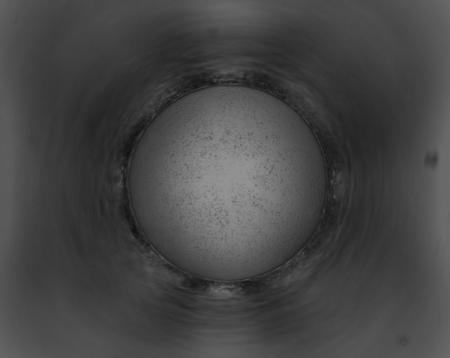 X0000091470753200708301853