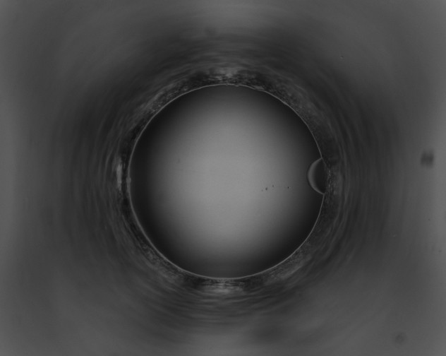 X0000091470754200708301853