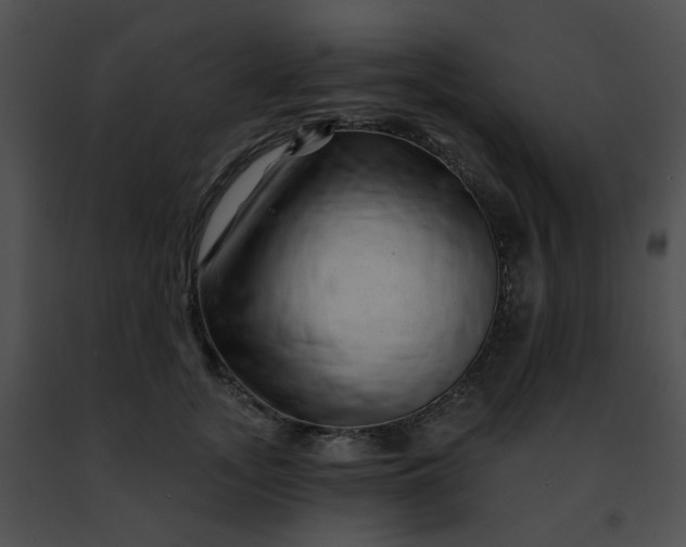 X0000091470755200708301853