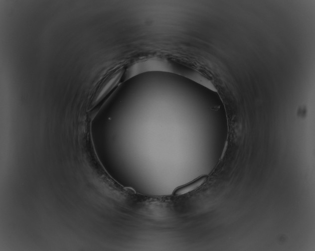 X0000091470756200708301853