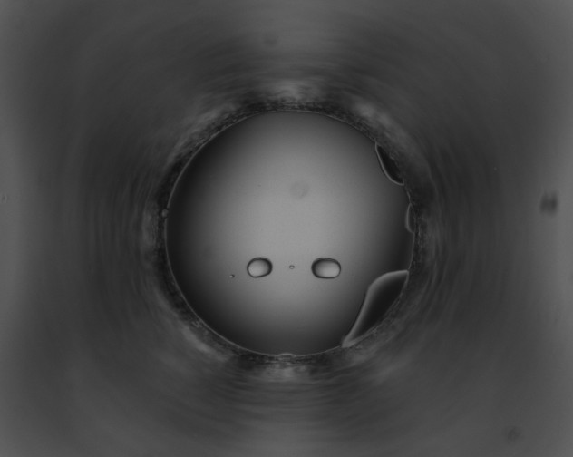 X0000091470760200708301853