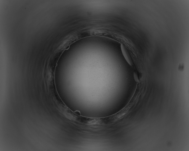 X0000091470761200708301853