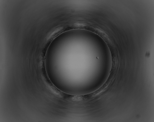 X0000091470762200708301853