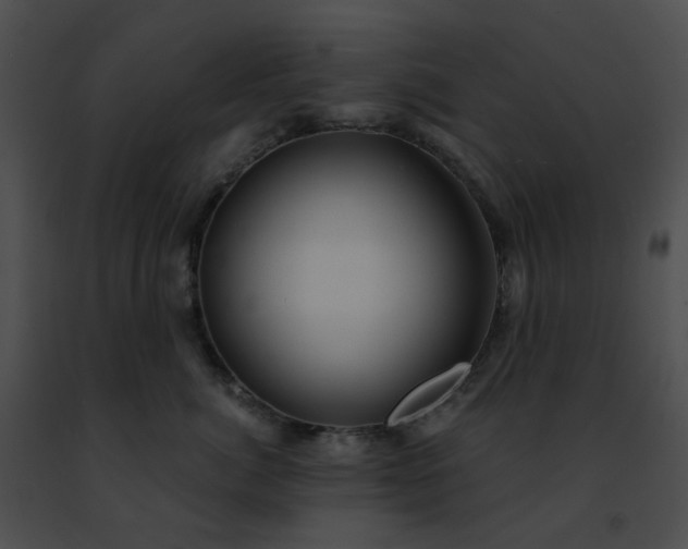 X0000091470764200708301853