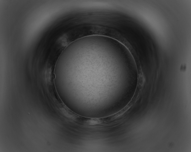 X0000091470765200708301853