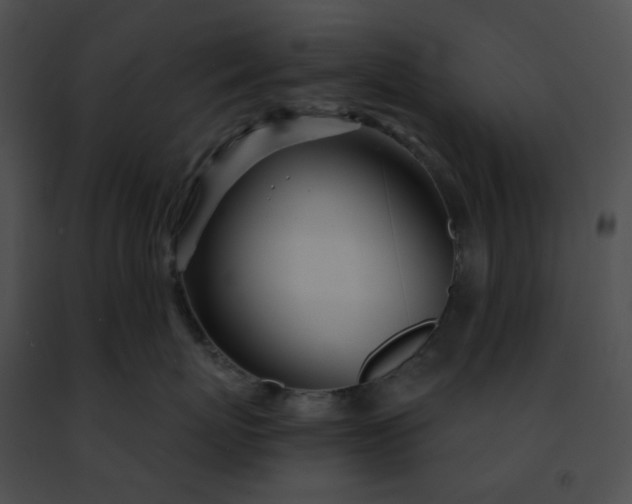 X0000091470767200708301853