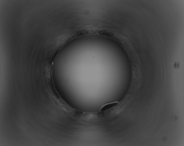 X0000091470768200708301853