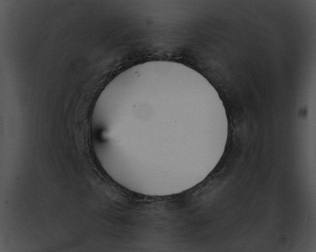 X0000091470769200708301852