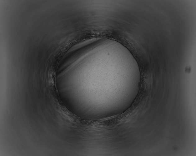 X0000091470770200708301852