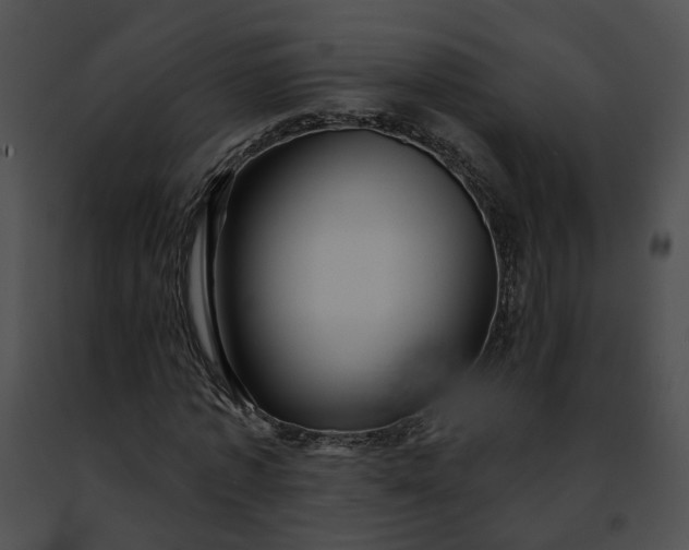 X0000091470773200708301852