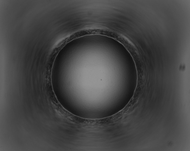 X0000091470775200708301852