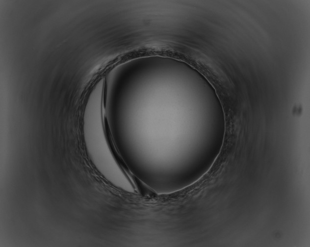 X0000091470776200708301852