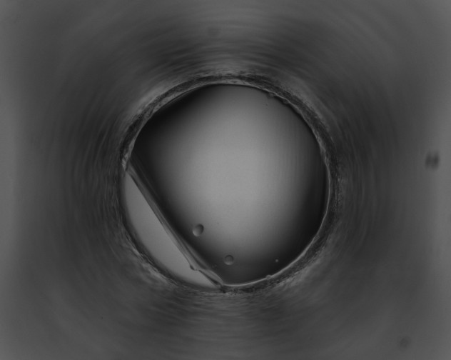 X0000091470778200708301852