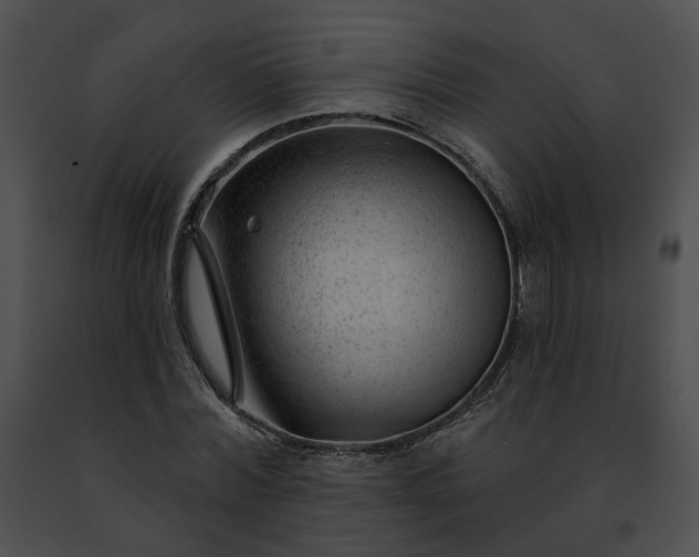 X0000091470780200708301852