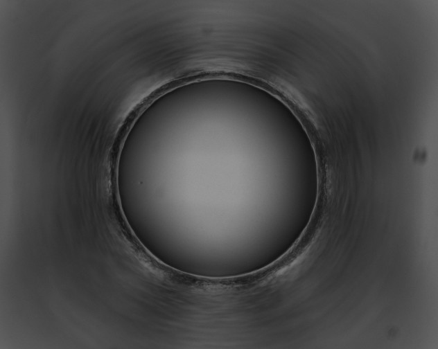 X0000091470782200708301852