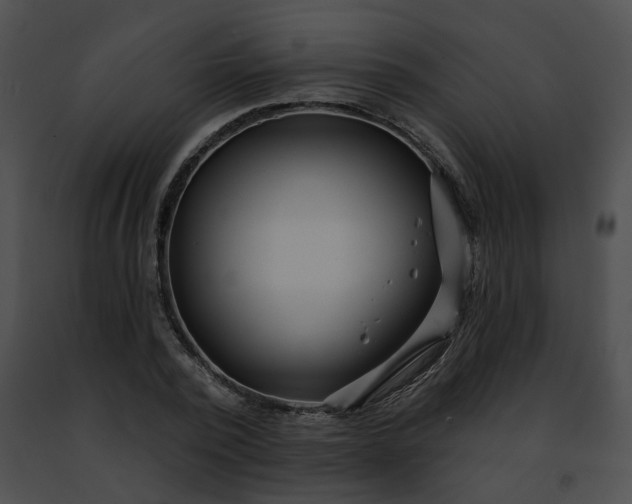 X0000091470784200708301852