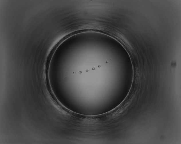 X0000091470788200708301852