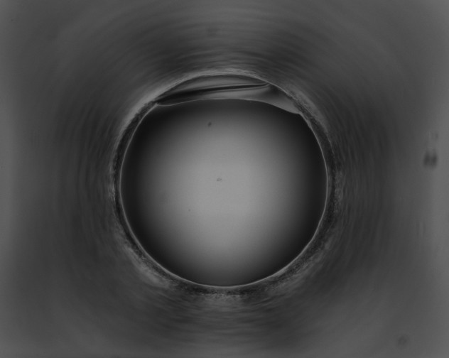 X0000091470789200708301852