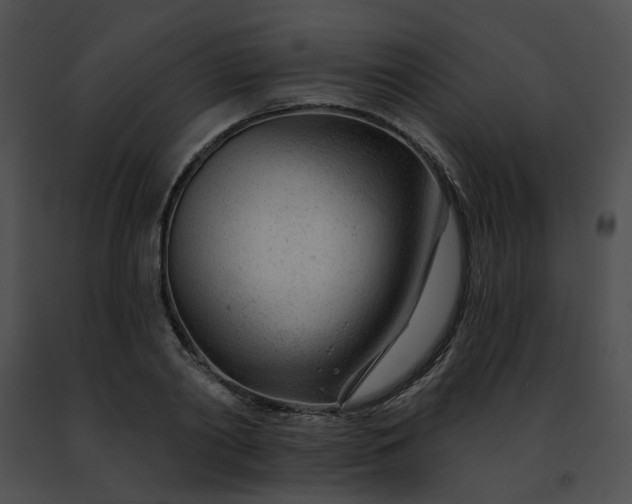 X0000091470790200708301852