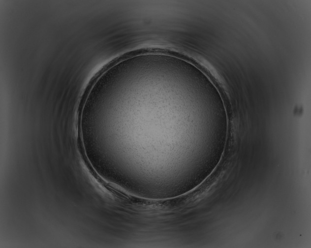 X0000091470791200708301852