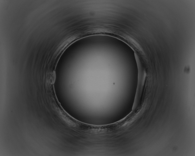 X0000091470793200708301852