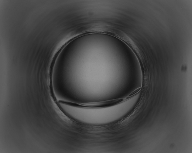 X0000091470795200708301852