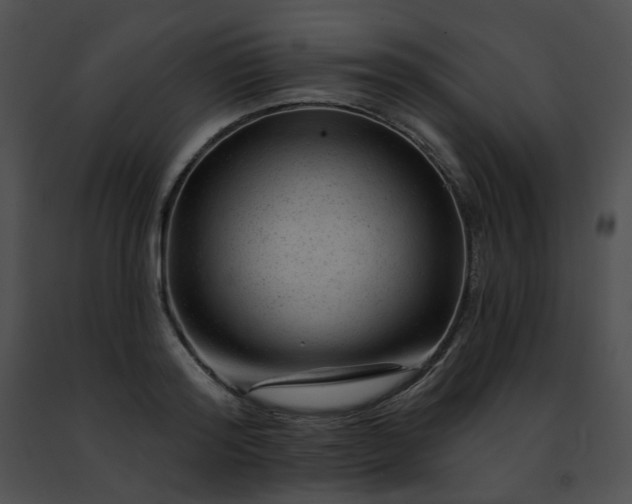 X0000091470796200708301852