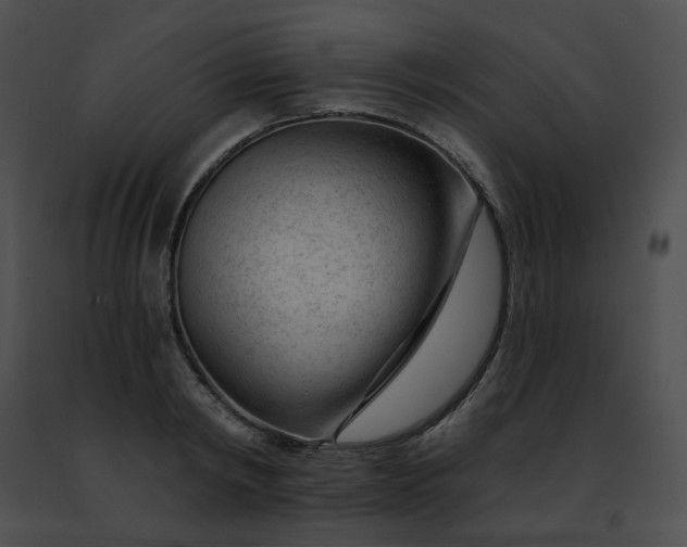 X0000091470798200708301852