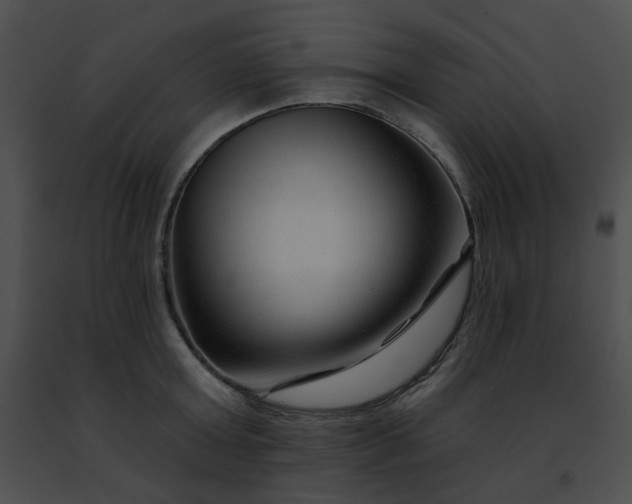 X0000091470803200708301852